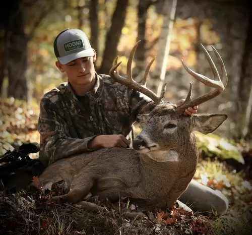 summer deer trailcamera scouting