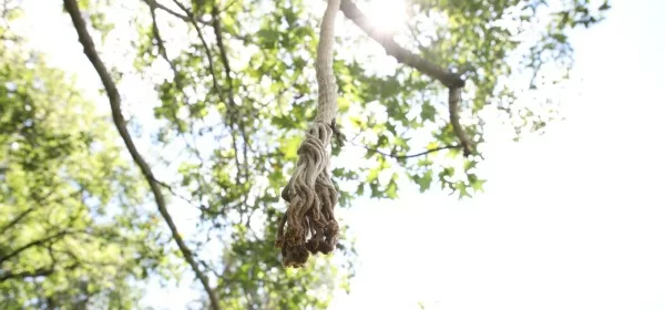 hemp rope for deer scrapes