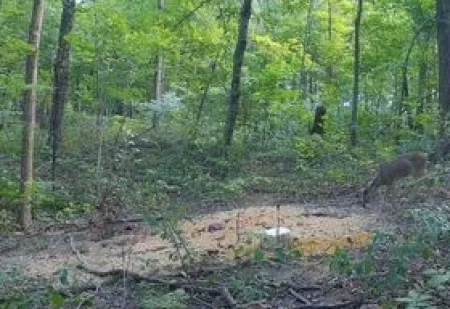 308892416_3243075919-a25f7