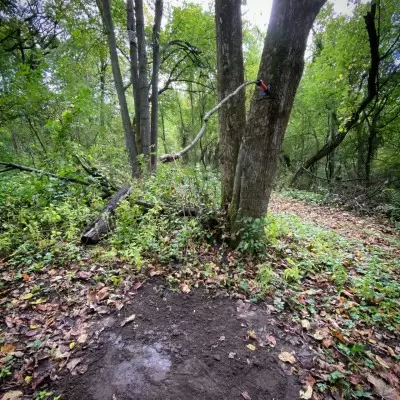 9033BBB3-199A-4777-B660-2F8794A873B0