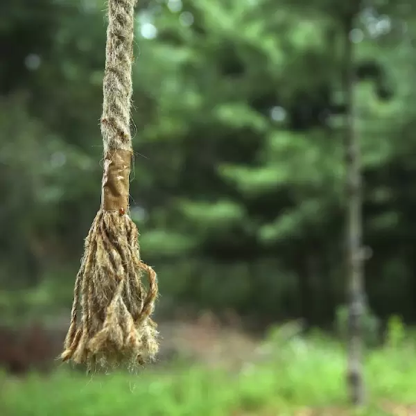 hemp rope mock scrape system