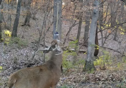 Screen-Shot-2020-10-13-at-12.30.20-PM