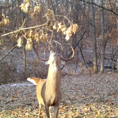 Screen-Shot-2020-10-13-at-9.15.20-AM-1200x1200