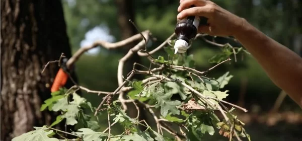 Screen_Shot_2021-08-10_at_12.53.29_PM