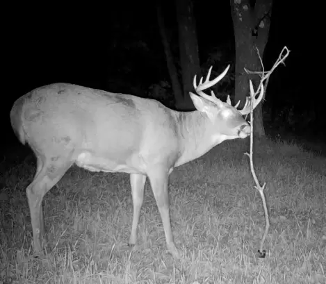 Screen_Shot_2022-03--45eb9