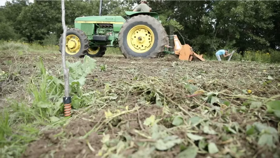 food plots for deer