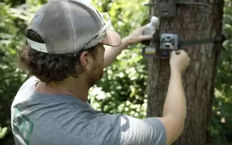 trail cameras for deer