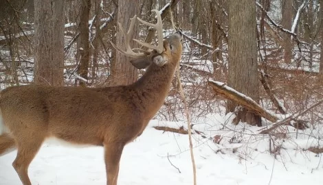 Screen_Shot_2022-11--1de60