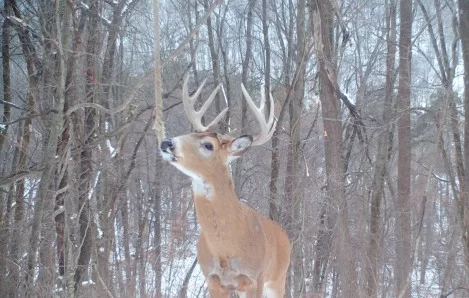 Screen_Shot_2022-11--21f56