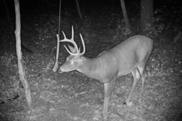 How Short is Too Short for your HempScent Rope Setup?