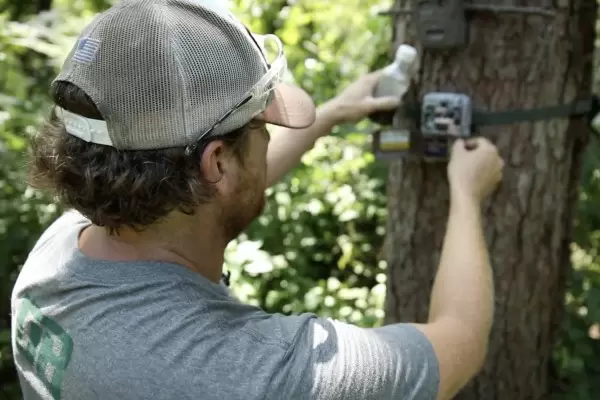 Trail Cameras and the Power of Video Vs. Stills