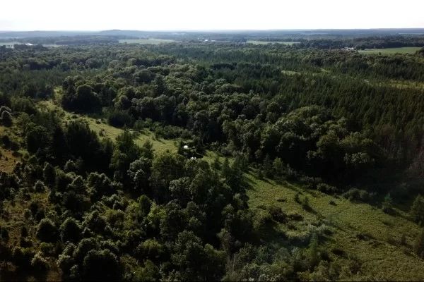 Don't Be Scared to Experiment 