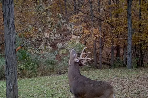 It&rsquo;s not too late for your HODAG products!